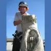 Chartley Tree Services