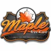 Maple Tree Care