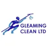 Gleaming Clean