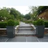 Plantlife Landscapes