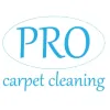 Pro Carpet Cleaning