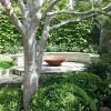 C D M Landscapes