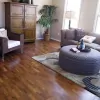 Professional Carpet Cleaner London