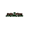 Stephen J Johnston