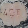 Ace Tree Services