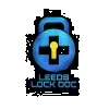 Leeds Lock Doc