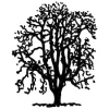 North East Tree Services