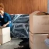 Ark Removals