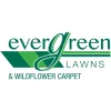Evergreen Lawns