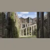 Stolon Studio