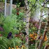 English Gardening School
