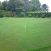 The Grass Company