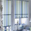Window Shades