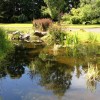 D Ferguson Landscaping