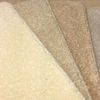 Harley Carpets