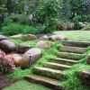 Devon Tree & Landscaping