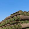Colchester Turf & Topsoil