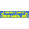 Cambrian Carpets