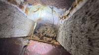 Wet & Dry Rot Treatment