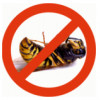 South Dorset Pest Control