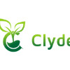 Clyde Tree Surgeons Glasgow