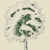 Bergen Tree Services