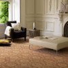 Carpet Gallery