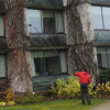 Windermere Windows