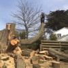 Arborcare Tree Services