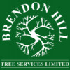 Brendon Hill Tree Services