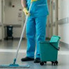 The Natural Cleaning