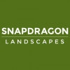 Snap Dragon Landscapes