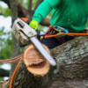 J & J Tree Services