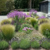 Alan Potts Garden Design