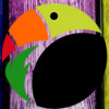 Toucan Painting Projects