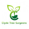 Clyde Tree Surgeons Glasgow