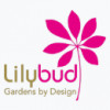 Lilybud Gardens By Design