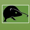 Donkill Pest Solutions