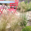 Motif Garden Design